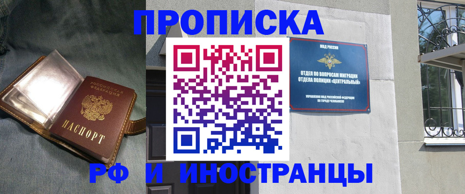 прописка для школы в Луге